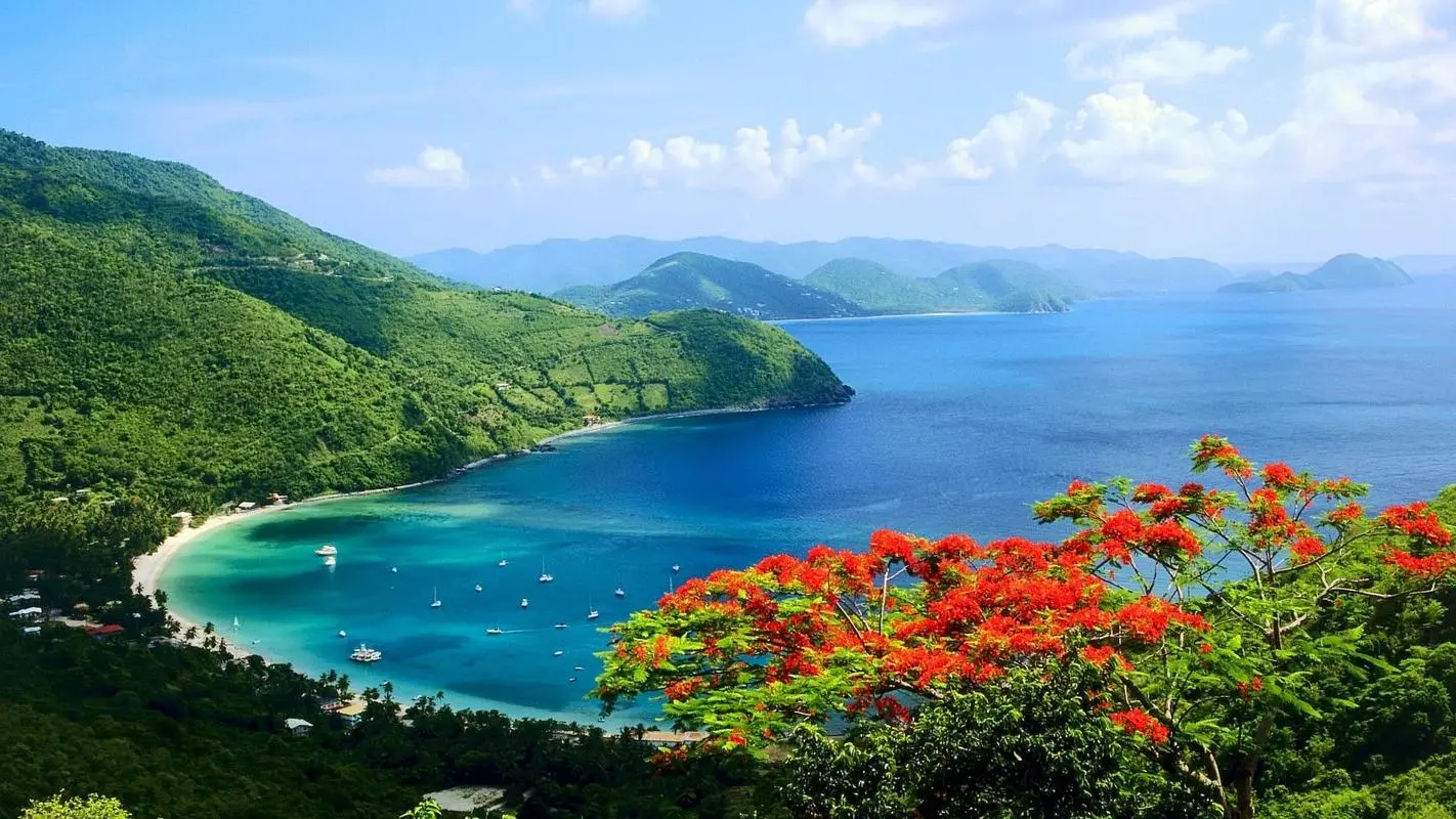 智能化高标准